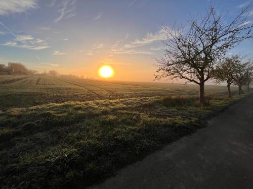 a sunset in a field with a tree and a road at Ferienwohnung Espenau in Espenau