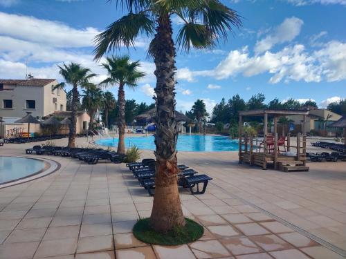 a palm tree sitting next to a swimming pool at MOBIL HOME LE LUMINEUX VALRAS in Valras-Plage