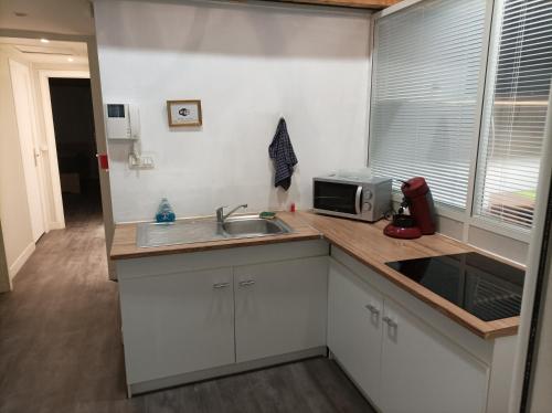 a kitchen with a sink and a microwave at Manoir de Bolbec in Bolbec