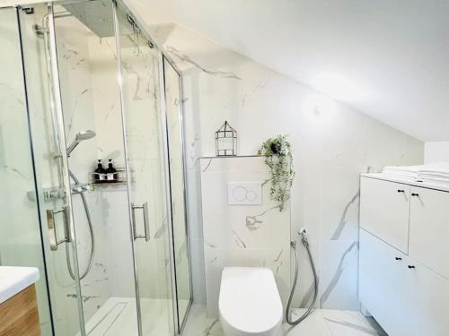 a white bathroom with a shower and a toilet at Studio ideal deplacement pro tourisme et mariage Parking gratuit in Chapareillan