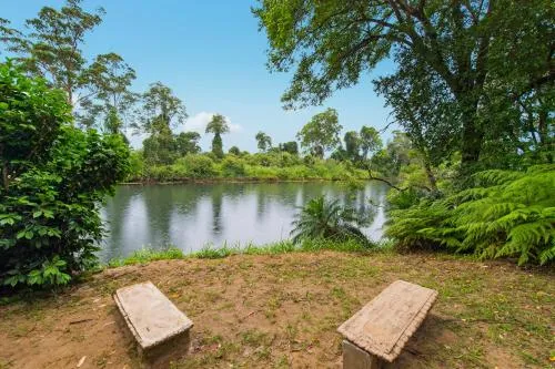 Riverland 347 Rollands Plains Rd picture