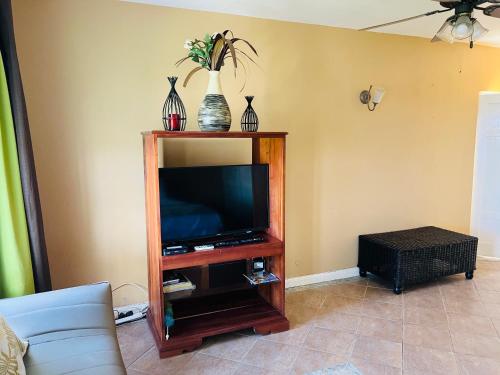 un salon avec une télévision sur un banc avec des vases dans l'établissement Kris’o Super Studio, à Ocho Rios