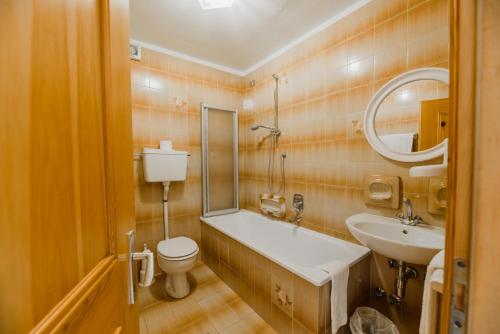 a bathroom with a sink and a toilet and a mirror at Hotel Garnì Rosengarten in Pera