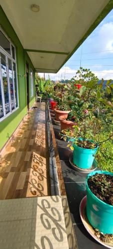 a row of potted plants sitting on a porch at Mirik Homestay in Mirik