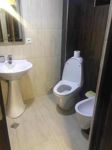 a bathroom with a white toilet and a sink at Guesthouse David Zhorzholiani in Mestia