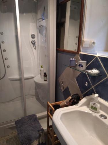 une salle de bain avec un lavabo et une douche dans l'établissement La longère d'Anaïde, à Saint Marcel Campes