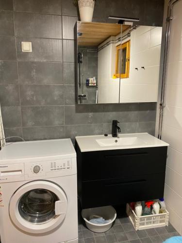 een badkamer met een wasmachine en een wastafel bij Lomanaamanka Villa Kanerva in Syöte