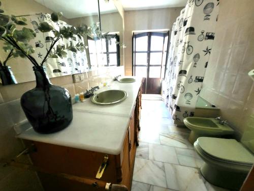 a bathroom with a sink and a vase on the counter at Apartamentos Sol Real 1 in Úbeda