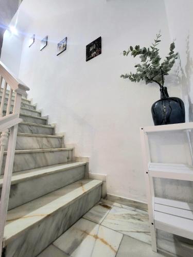 a staircase with a potted plant on the wall at Apartamentos Sol Real 1 in Úbeda