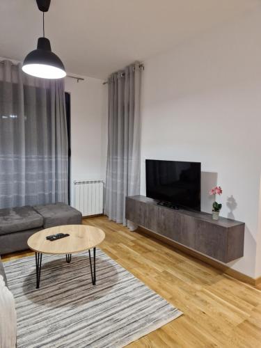 TV a/nebo společenská místnost v ubytování Apartman u centru Kolasina sa garazom