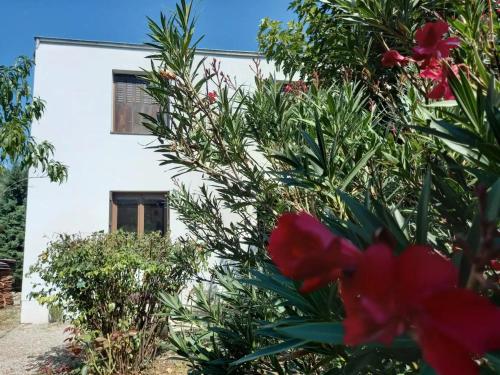 Maison de ville avec jardinet – Photos 3