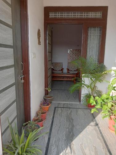 Zahrada ubytování Jaipur Marigold Homestay