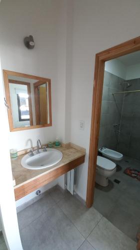 a bathroom with a sink and a toilet and a mirror at S1 Cálido departamento para conocer Mendoza in Godoy Cruz