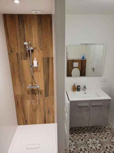 a bathroom with a shower with a sink and a toilet at Le Logis du Donjon 1 in Les Herbiers