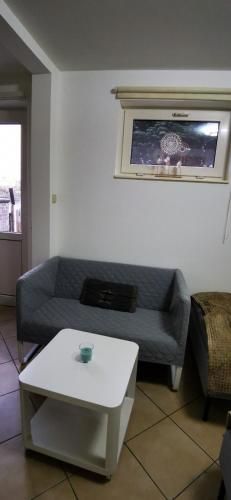 ein Wohnzimmer mit einem Sofa und einem Tisch in der Unterkunft Studio équipé Brussels in Sint-Pieters-Leeuw