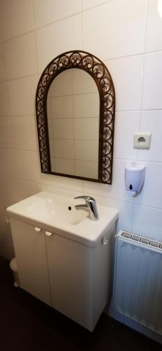 uma casa de banho com um lavatório e um espelho em Studio équipé Brussels em Sint-Pieters-Leeuw