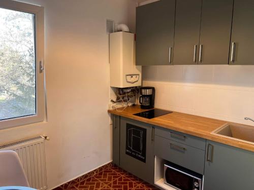 cocina con fregadero y encimera en Garsoniera Flamingo Garii 4 en Braşov