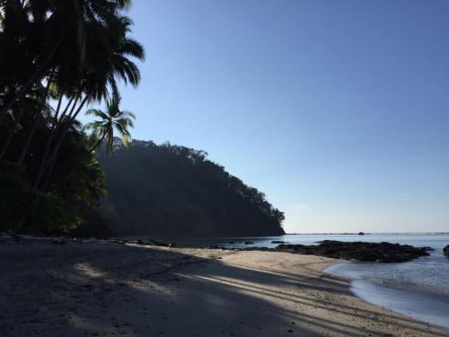 a beach with palm trees and the ocean at Los Vivos Beachfront Experience in Pochote