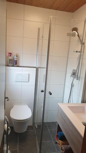 y baño con aseo, ducha y lavamanos. en Chalet Panorama Tirol, en Höfen