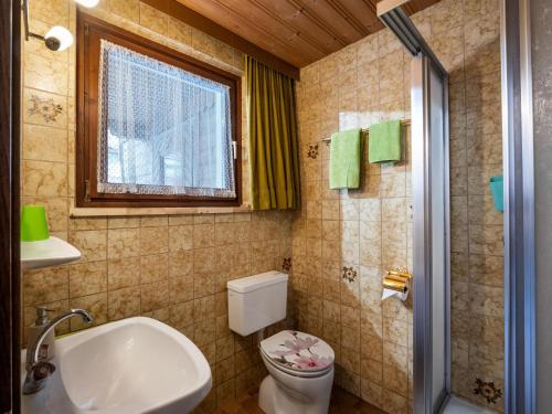 a bathroom with a toilet and a sink and a window at Appartement Alpenlöwe in Kirchberg in Tirol