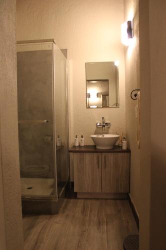 a bathroom with a sink and a shower at Thuhlo lodge in Hoedspruit