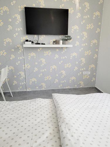 SentaにあるOaza apartmani 1のベッドと壁にテレビが掛かった寝室