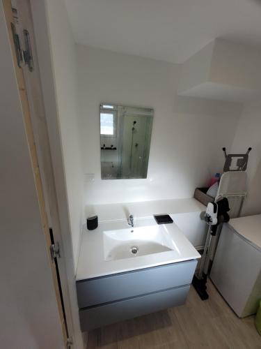 Bilik mandi di Appartement gîte "L'œillet" 4 personnes Bayeux