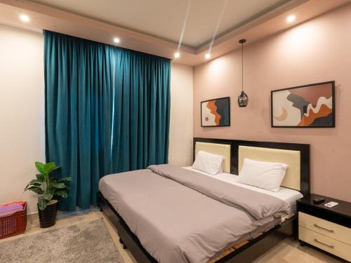 BIRD NEST Near O1 Mall