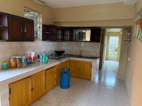 a kitchen with wooden cabinets and a blue vacuum at NR appartments in Curepipe