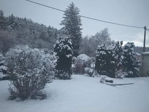 un patio cubierto de nieve con árboles y arbustos en Chalupa Kojetice en Kojetice