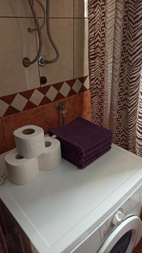 a bathroom with three rolls of toilet paper on a counter at Vikendica Kop in Kopaonik