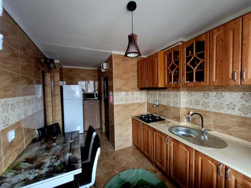 cocina con fregadero y nevera en Apartament Bia, en Lupeni