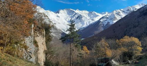 a snowy mountain range with a tree in the foreground at Grange de Trabés n°2 in Gèdre