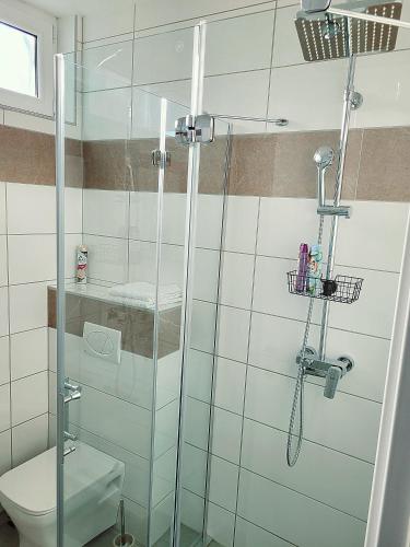 a bathroom with a glass shower with a toilet at Oaza apartmani 4 in Senta