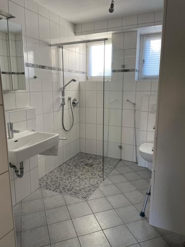 ein Bad mit einer Dusche, einem Waschbecken und einem WC in der Unterkunft Ferienwohnung Bett & Burg in Wertheim
