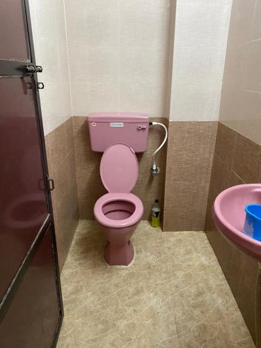 bagno con servizi igienici rosa e lavandino di Simhagiri Holiday Inn a Visakhapatnam