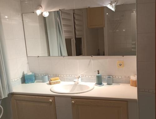 a bathroom counter with a sink and a mirror at Chambre et table d'hôtes du Chant des Sources in Engenthal