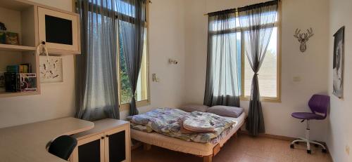 a bedroom with a small bed and two windows at Aviv Beautiful Villa, 5 BR, Golan Heights in Giv'at Yo'av