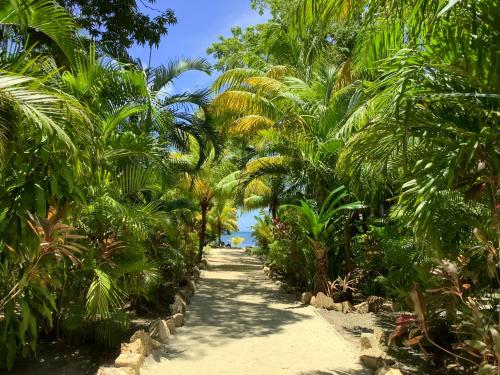 Mynd úr myndasafni af Tropical Treehouse - Sundancer 5A í Sandy Bay