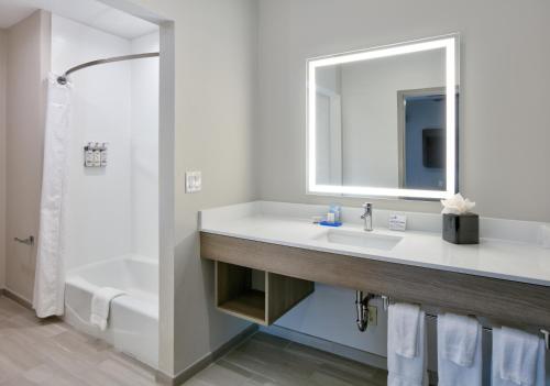 Phòng tắm tại Holiday Inn Express & Suites North Dallas at Preston by IHG