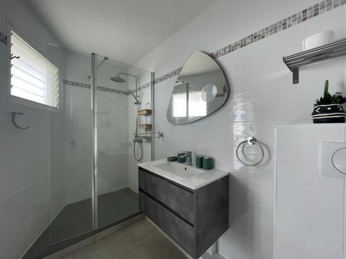 W łazience znajduje się prysznic, umywalka i lustro. w obiekcie Studio Sea cosy w mieście Saint-François