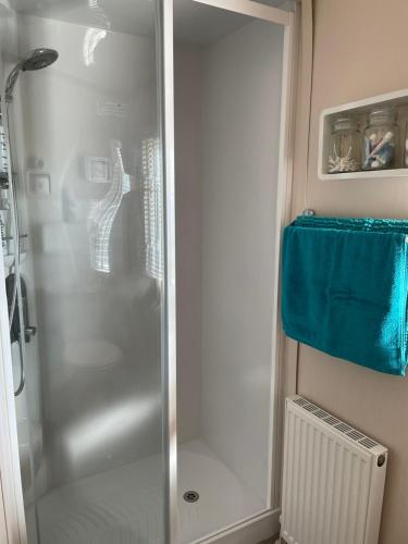 y baño con ducha y puerta de cristal. en ParkDean cherry tree holiday park en Great Yarmouth