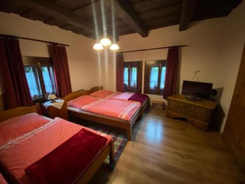 1 dormitorio con 2 camas y TV de pantalla plana en Maľovaná drevenička v Čičmanoch en Čičmany