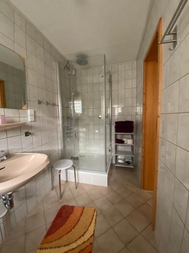 een badkamer met een douche, een wastafel en een toilet bij Ferienwohnung Grieser in Geising