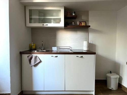 a small kitchen with a sink and a microwave at HealthyStudio512 Apartments in Kotor