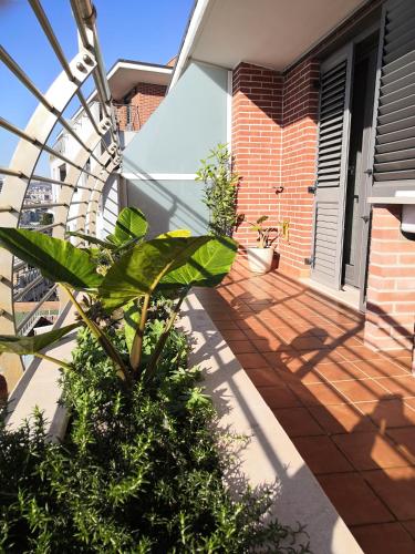 Giardino di Hakuna Matata B&B