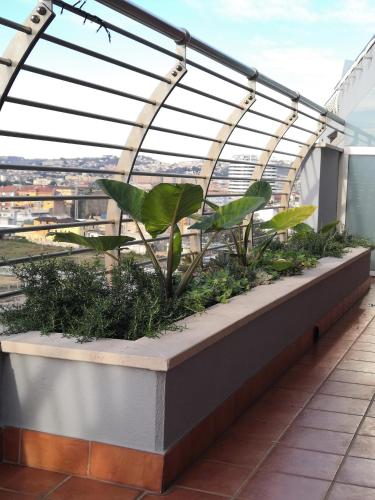 Balcone o terrazza di Hakuna Matata B&B