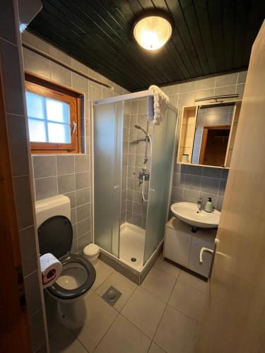 La salle de bains est pourvue d'une douche, de toilettes et d'un lavabo. dans l'établissement Apartments Jelka, à Kranjska Gora