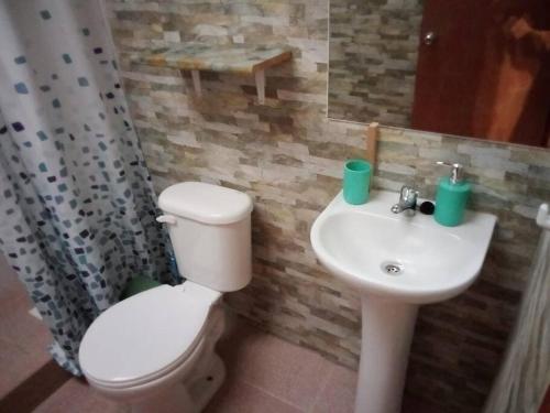 Et badeværelse på Cabaña “El Radal”. Sector Carewe, Licán Ray