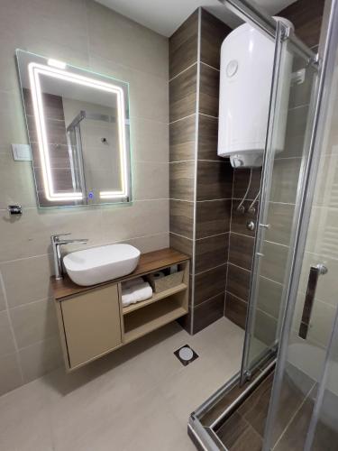 a bathroom with a sink and a shower at Hany Sweet in Niš